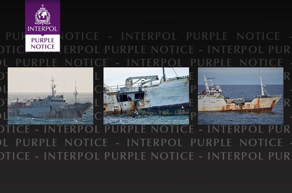 Earlier on in the investigation, INTERPOL had issued a Purple Notice (PN) against the vessel. PN’s are an important tool for fisheries enforcement as they allow police worldwide to share information about the vessel modus operandi and collect more information on its suspected illegal fishing activities.